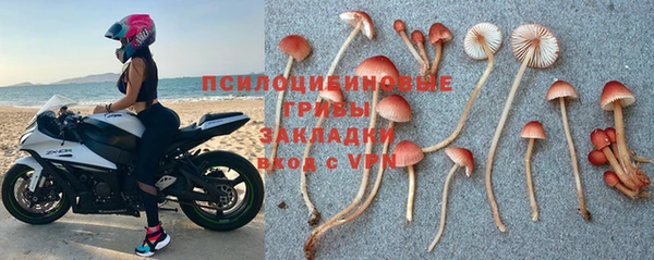 дживик Алзамай