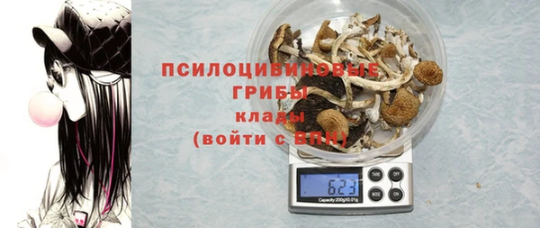 ГАЛЛЮЦИНОГЕННЫЕ ГРИБЫ Абинск