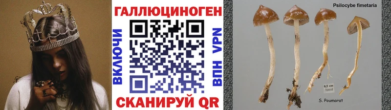 Псилоцибиновые грибы ЛСД  купить наркоту  Мостовской 